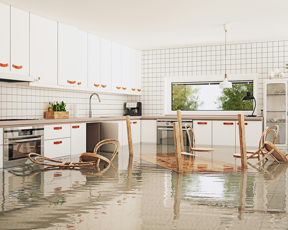 Water mist system case studies