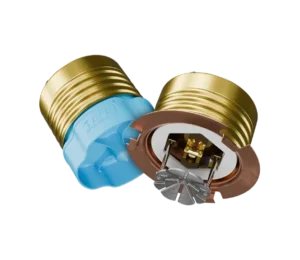Two brass light bulb bases separated, exposing inner contacts and a brown mounting ring on a white background.